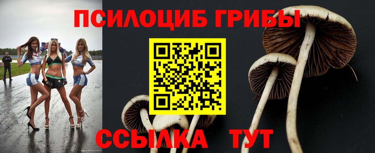 Ивантеевка  где купить наркоту  Вход с VPN  Галлюциногенные грибы MAGIC MUSHROOMS  Галлюциногенные грибы прущие грибы 