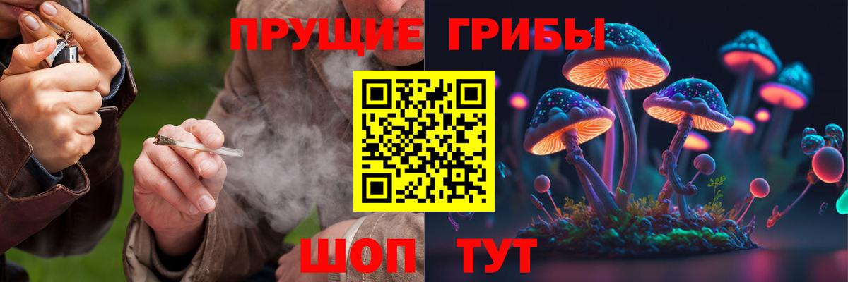 Галлюциногенные грибы прущие грибы Ивантеевка